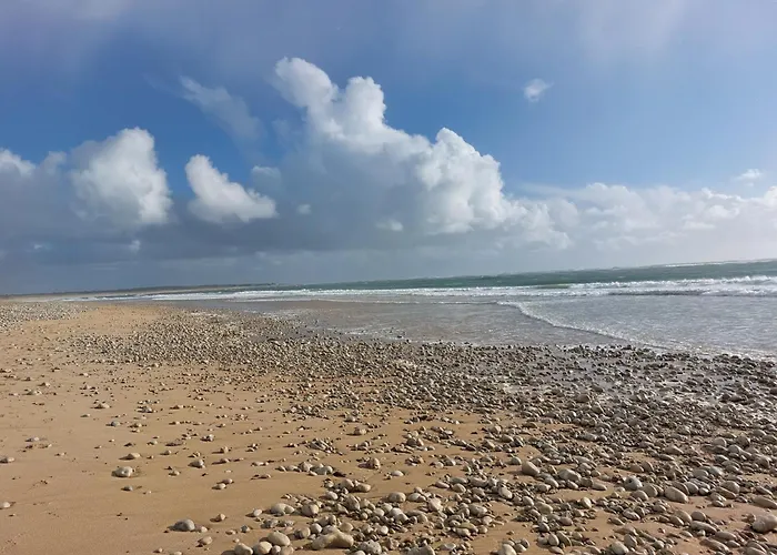 Maison A 8 Min A Pied De La Plage Avec Jardin Clos Et Ombrage
