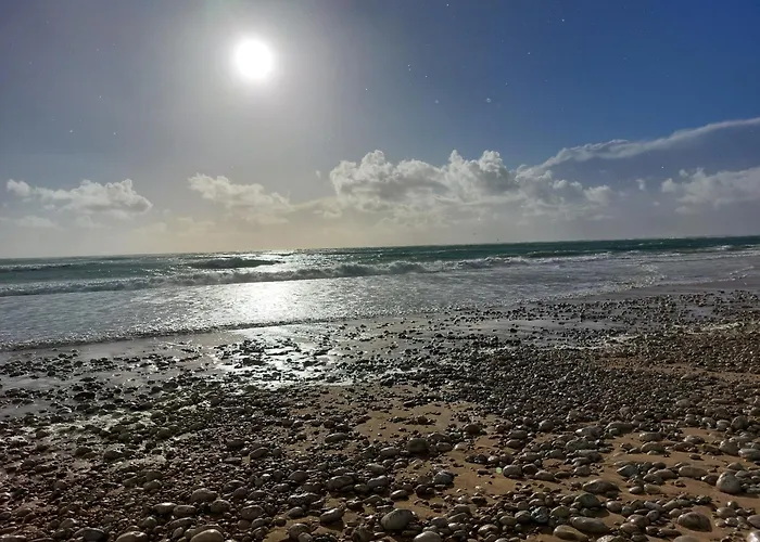 Maison A 8 Min A Pied De La Plage Avec Jardin Clos Et Ombrage
